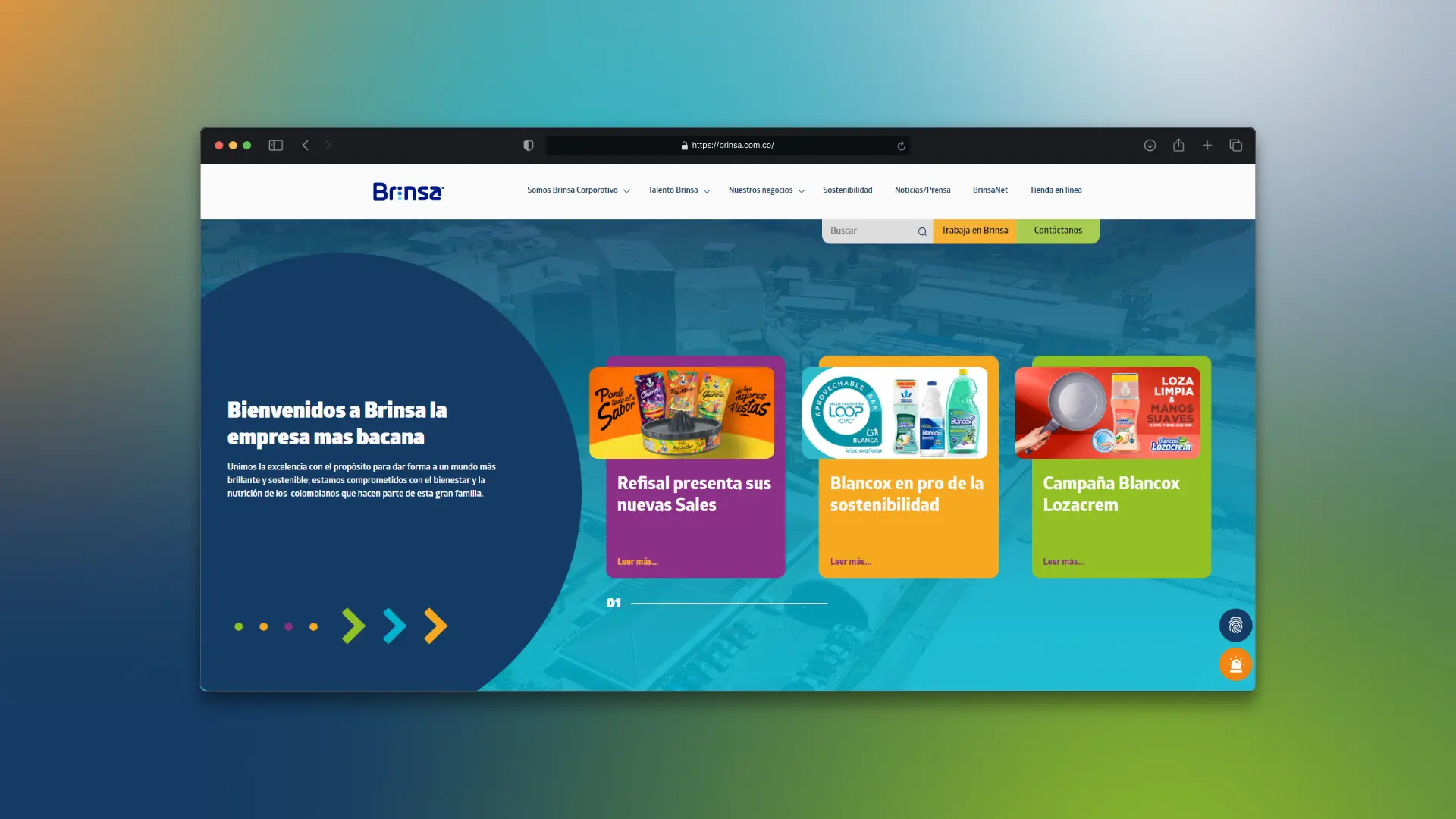 Proyecto de Brinsa Proyecto de Brinsa